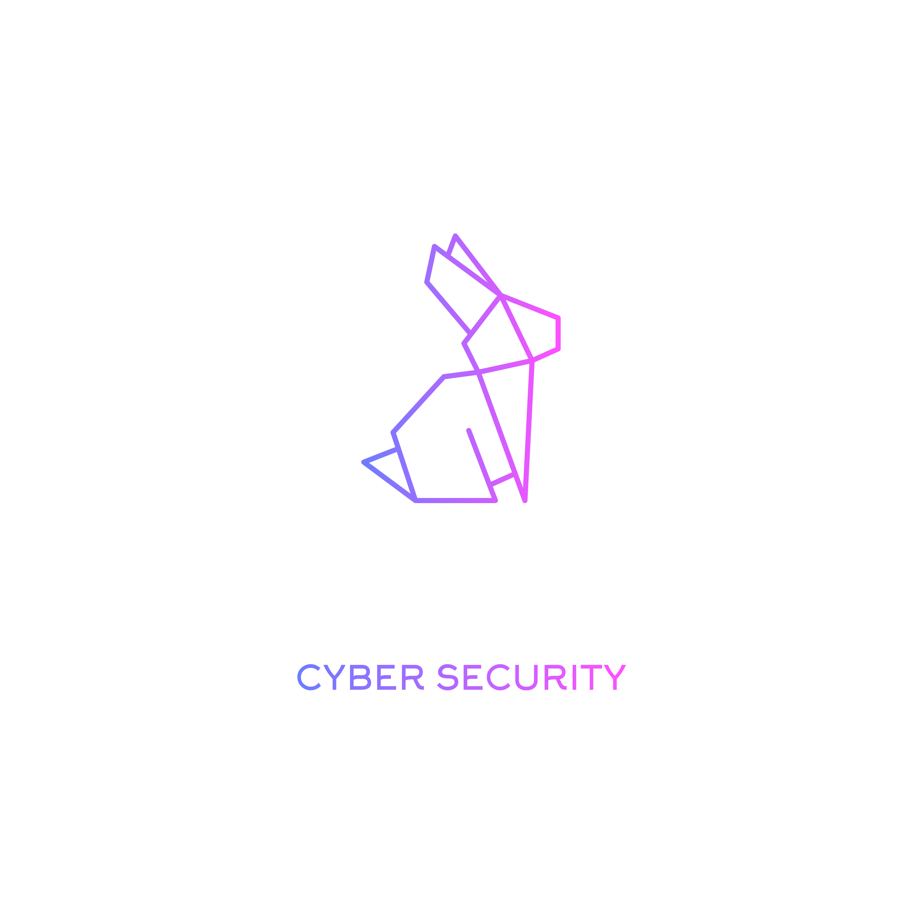 Cipherspace